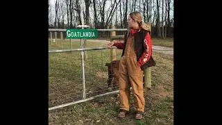 Amelia Foster Boer Goat Nation Scholarship 2024