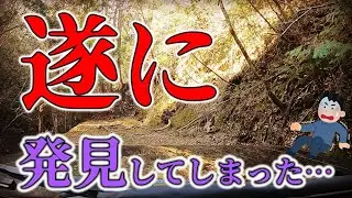 こんな状態で発見するとは…はっきり言ってエグイです!
