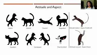 August 2022 Lunch & Learn | Felines in Pecos River style rock art
