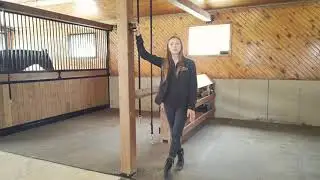 Grooming Stalls with Custom Storage