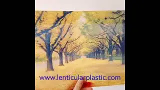custom lenticular 3d flip card-pet material 3d lenticular flip pictures-lenticular poster printing