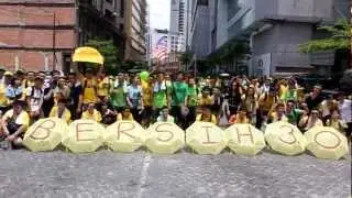 Bersih 3.0 Angry bird? Clean & Fair Election