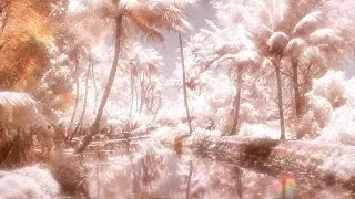 UNSECRET X LYRA - WE ARE BEAUTIFUL [OFFICIAL AUDIO]