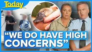 Plea for return of stolen platypus | Today Show Australia