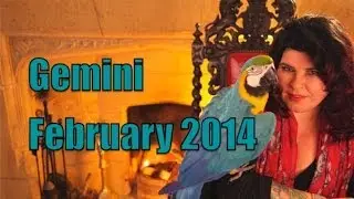 Gemini Monthly Astrology February 2014 with Michele Knight