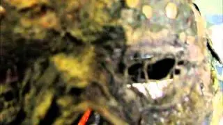 The new batch (unboxing a new package from Evilslaughter13)