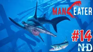 Let's Play Maneater (pt14) Apex Hammerhead