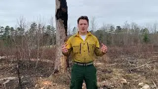 Prescribed Burn at Buffalo Creek Preserve