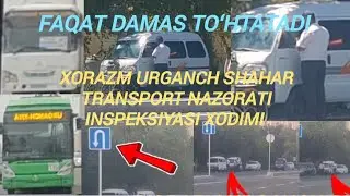 TRANSPORT NAZORATI INSPEKSIYASI XODIMI XORAZM URGANCH SHAHAR 