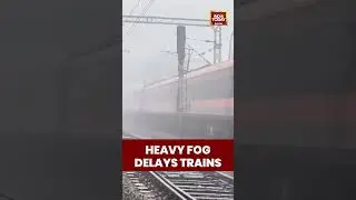 Heavy Fog Delays Trains | #shorts #fog #indianrailways #traindelay #railways #weather #coldwave