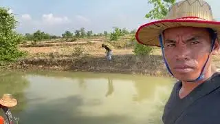 Frog soup with curly cabbage, frogs from the rice field bayou