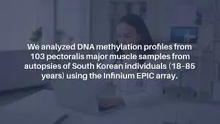 Epigenetic Aging and Age Prediction in Human Skeletal Muscle | Aging-US