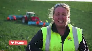 Tassie Harvest Jobs