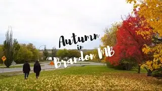 Autumn in Brandon  EOSHD Pro Color 3.0