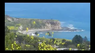 Super Bloom