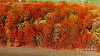 FALL IN ESSEX COUNTY ONTARIO by Windsor Aerial Drone Photography