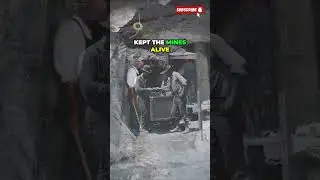 Золотая лихорадка на острове Каталина &mdash; разоблачение секретных серебряных рудников!