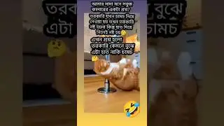 সাদা মনে সবুজ কালারের প্রশ্ন🤣#funnyvideo #funnyshorts #comedy #shortsfeed #shorts #viral#subscribe#
