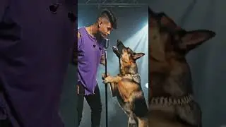 raper vs dog #dreamscreenai #aivideo #aishorts