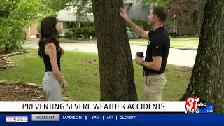 What homeowners can do to prevent tree damage from severe weather