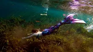 A Mermaid Swim - March 11, 2024