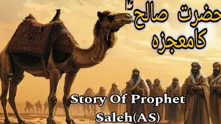 Story Of Prophet Saleh (A.S) In Urdu/ Hindi| Hazrat Saleh AS ka Waqiq|Qoum e Samood ka Waqia