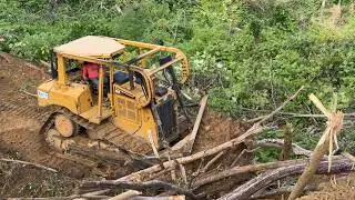 Master Effective Strategies for Palm Terrace with the D6R XL Bulldozer