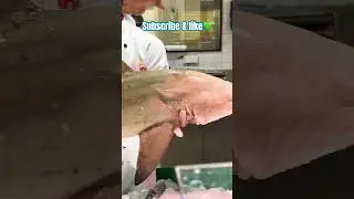 Big Shark Fish 🐟🥹#trendingshorts #seafoodlover #seafish #shark #bigsize #fishmarket #fishselling