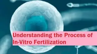 Embryo Transfer Procedure in IVF under USG Guidance | Dr. Tehreem Dilber | IVF Procedure