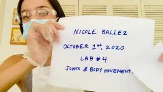 LAPU Lab #4 - Joint & Body Movement