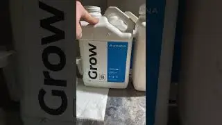 How I feed clones, young plants, and moms aka VEG!