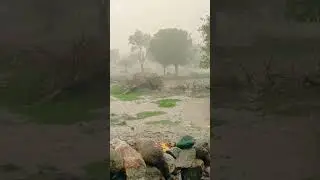 da baran / viral / rain / barish/ short viral