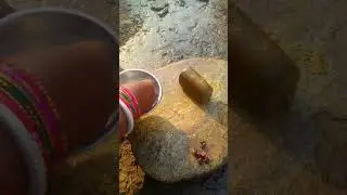 Nadia Chatani Recipe #shorts #villagefood #villagerecipe #villagecookingvideo #cooking