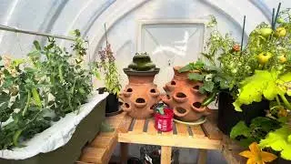 7 Week Review of My Simply Solar Fiberglass Greenhouse