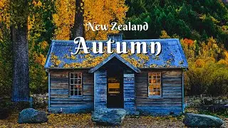 Best place to spend Autumn in New Zealand ?!