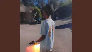 Vice City
