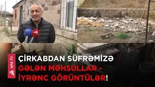 Gəncədə iyrənc şəraitdə hisə verilən balıqlar bu yerlərdə satılır  – APA