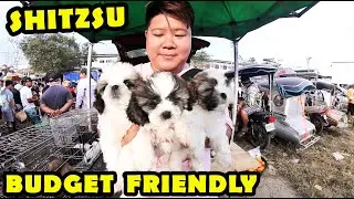 MARAMI KANG PWEDE MAUWI AT PWEDE MAALAGAAN PAG DITO KA DUMAYO SA BOCAUE PET TIANGGE JAN 30,2026