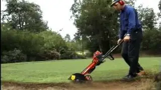 Atom Professional Edger