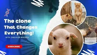 The Clone That Changed Everything | A Dramatic Breakthrough in Cloning Technology