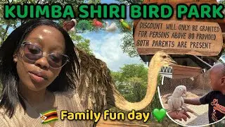 LIVING IN ZIMBABWE 🇿🇼 ~ Family Fun Day at Kuimba Shiri Bird Park 🦚🕊️| Hidden Gem Places to visit🦩🦜