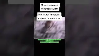 мем  #смех #ржака #юмор #мемы #жиза #смешно #угар #прикол #весело #шутки #шорты