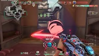reflex on reyna