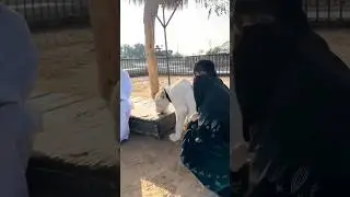 Sana Ansari paidal hajj update today saudi Arabia #jannat  ka libass kis shaqsh ku mile ga