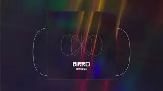 BIRRD - Wheels