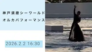 神戸須磨シーワールド　オルカパフォーマンス　2026.2.2 16:30