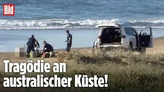 Australien: Frau stirbt nach Hai-Angriff