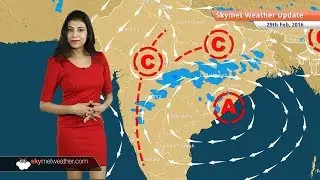 Weather Forecast for February 29: Rain and Hailstorm in Vidarbha, South Madhya Pradesh