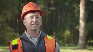 В лесу: виртуальная экскурсия по лесу с International Paper