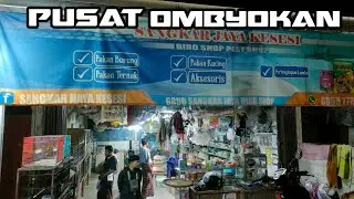 Grebeg kios Pekalongan, kesesi ombyokan burung paling lengkap